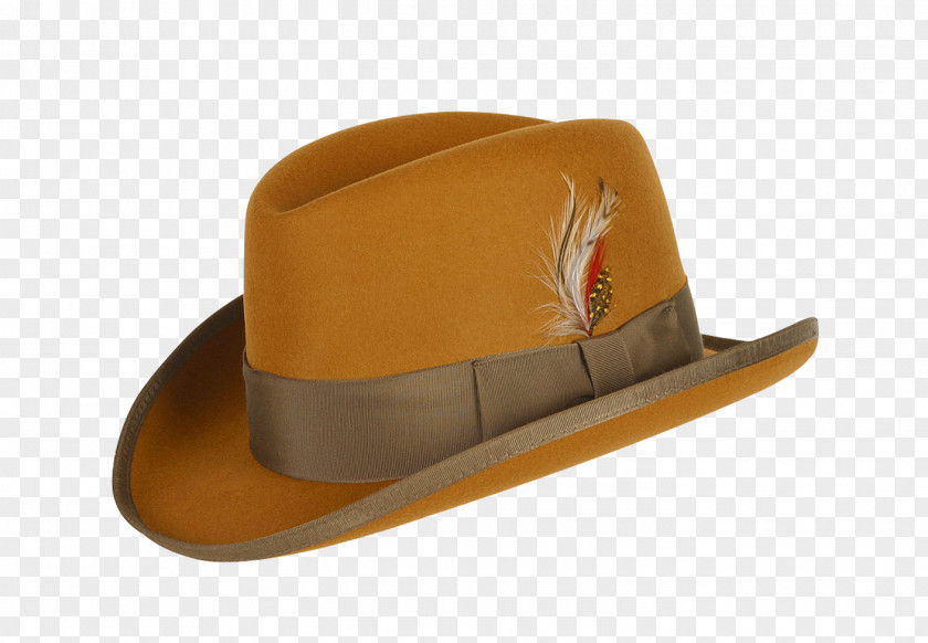 Feather Hat Fedora Sombrero PNG