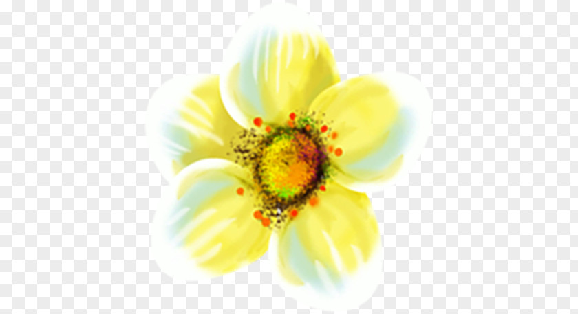 Flower Common Sunflower Cut Flowers Clip Art PNG