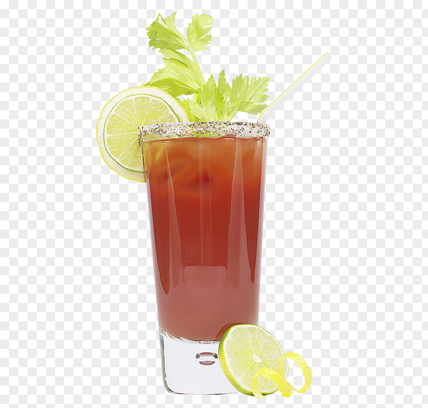 Juice Orange Drink Cocktail Harvey Wallbanger Spritzer PNG