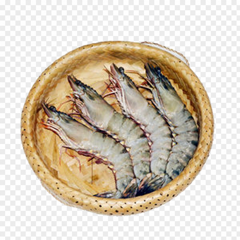 Lobster Vietnam Fish Chinese White Shrimp PNG