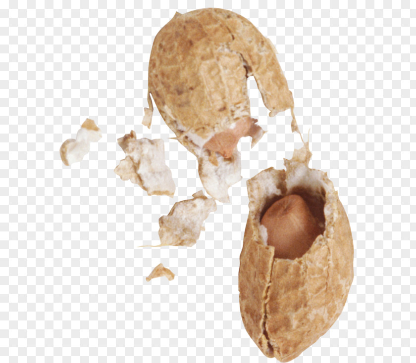 Marcie Peanuts Plush Peanut PNG