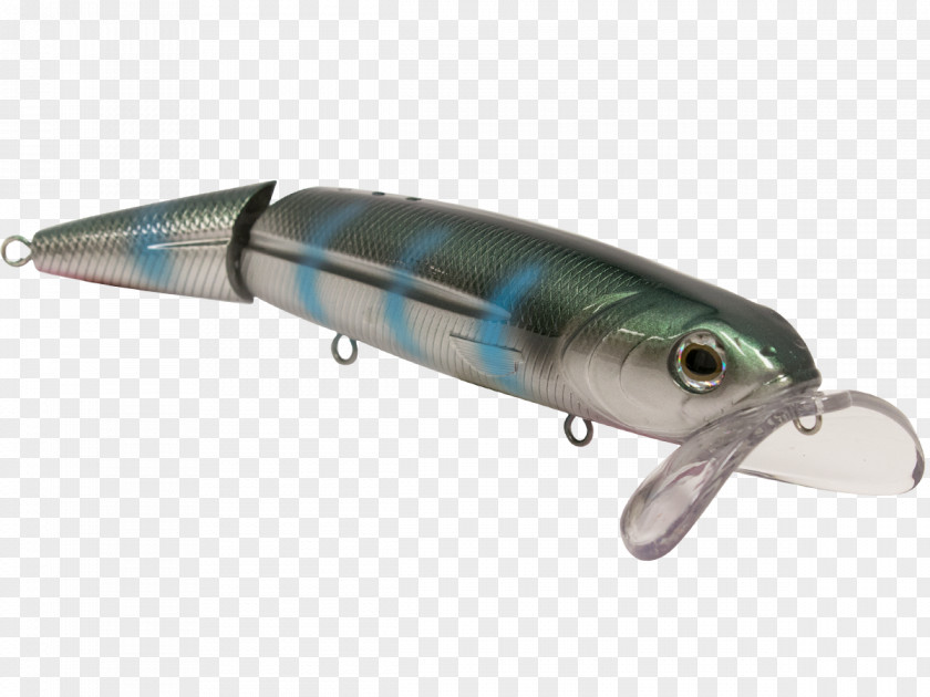 Northern Pike Sardine Spoon Lure Fishing Baits & Lures Walking PNG