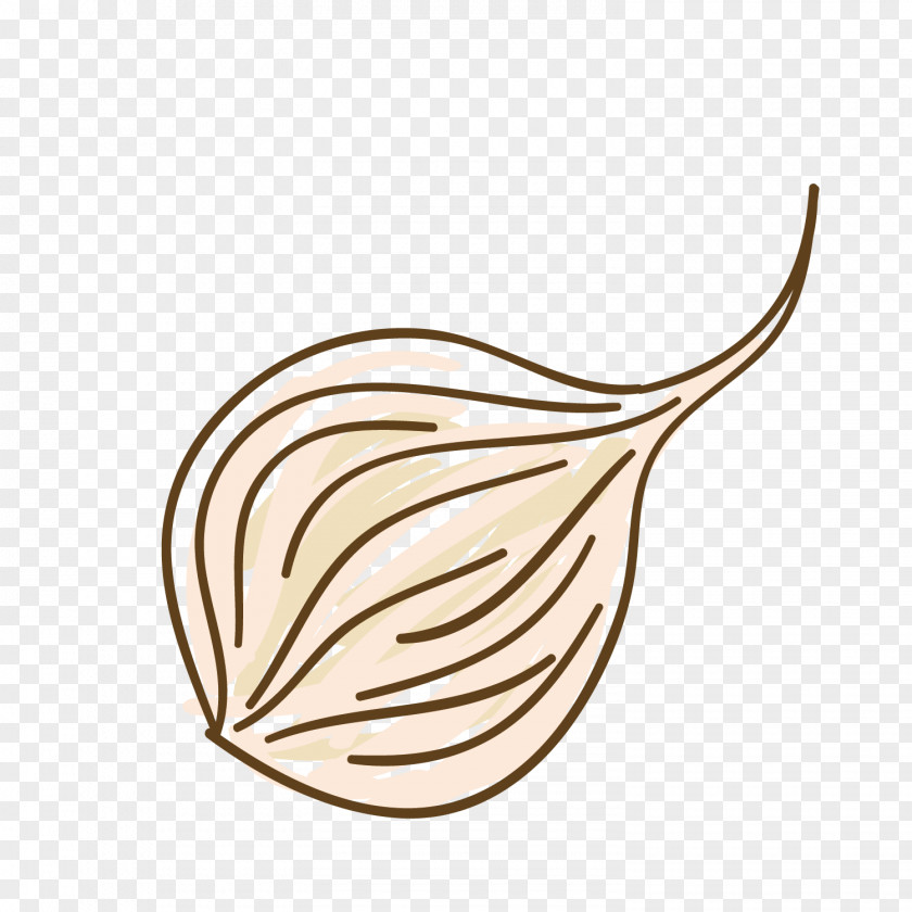 Vector Onion Line Vegetable Illustration PNG