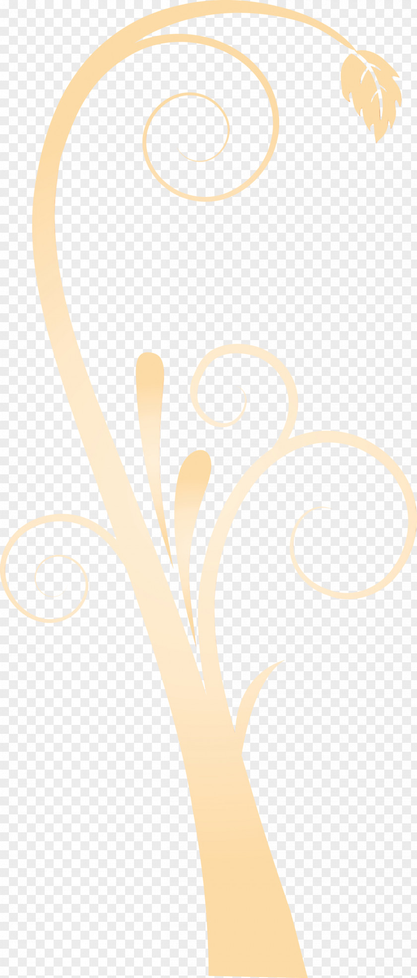White Beige PNG