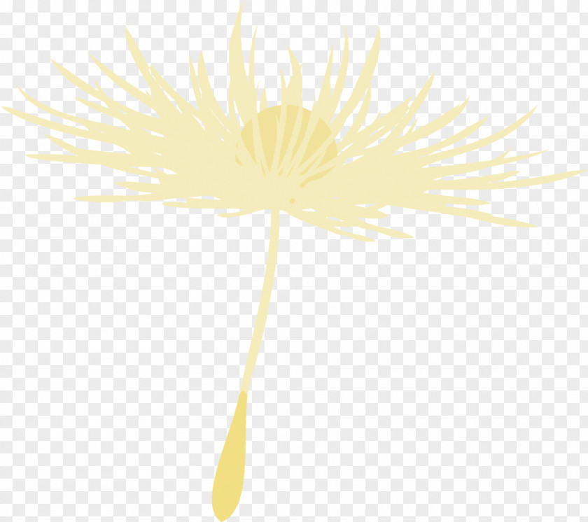 Yellow Dandelion Text Material Pattern PNG