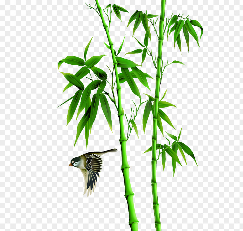 Bamboo Clipart Transparent Tropical Woody Bamboos Image Clip Art Ink Wash Painting PNG