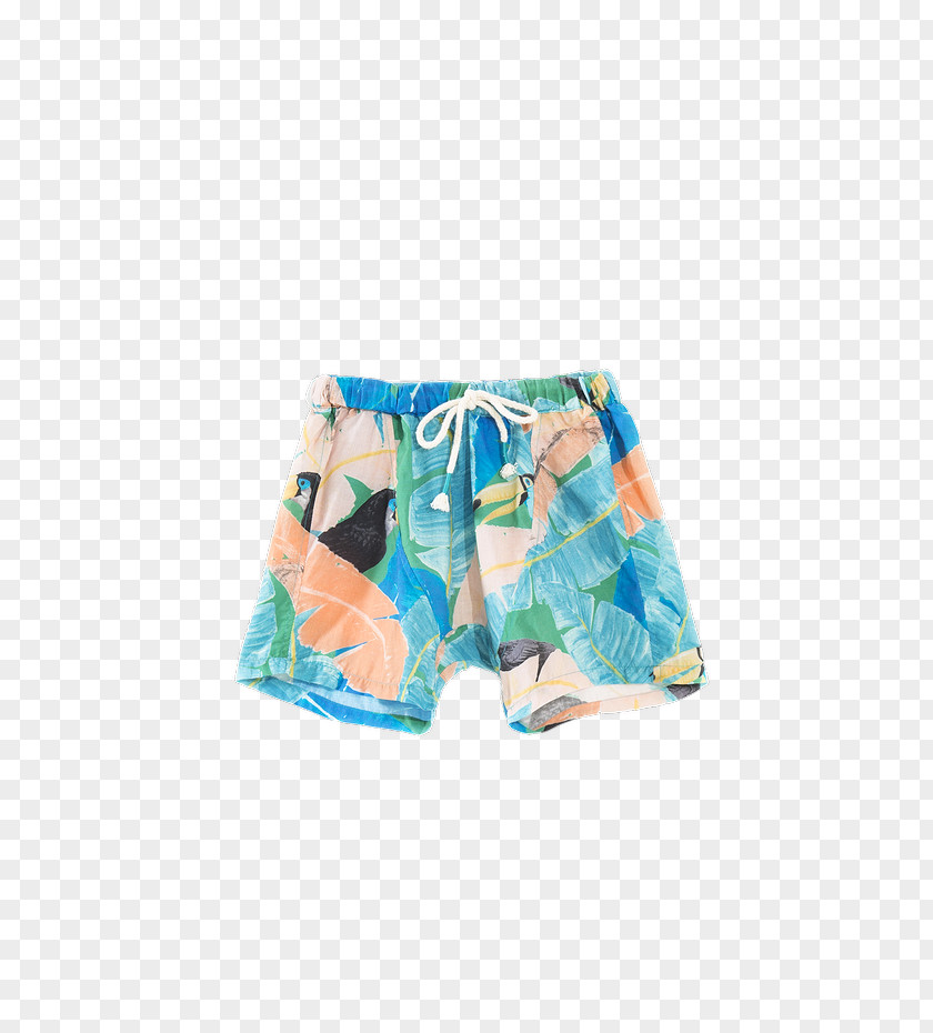 BANANEIRA Trunks Swim Briefs Underpants Swimsuit PNG