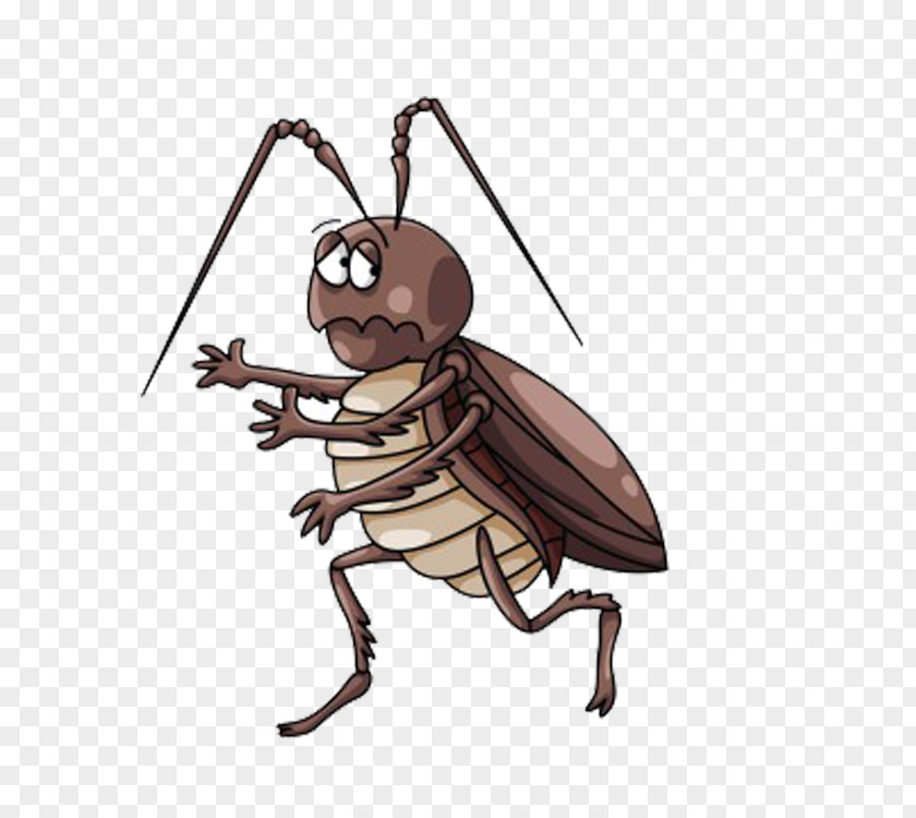 Cockroach Escape Cartoon Clip Art PNG