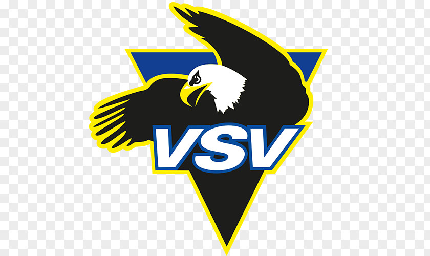 EC VSV Villach Austrian Hockey League Red Bull Salzburg HC TWK Innsbruck PNG