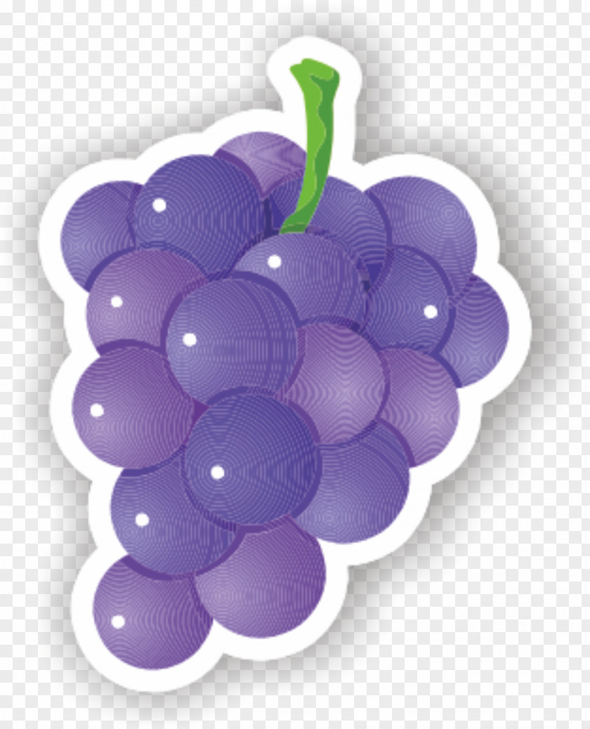 Grape Grapevines Purple PNG