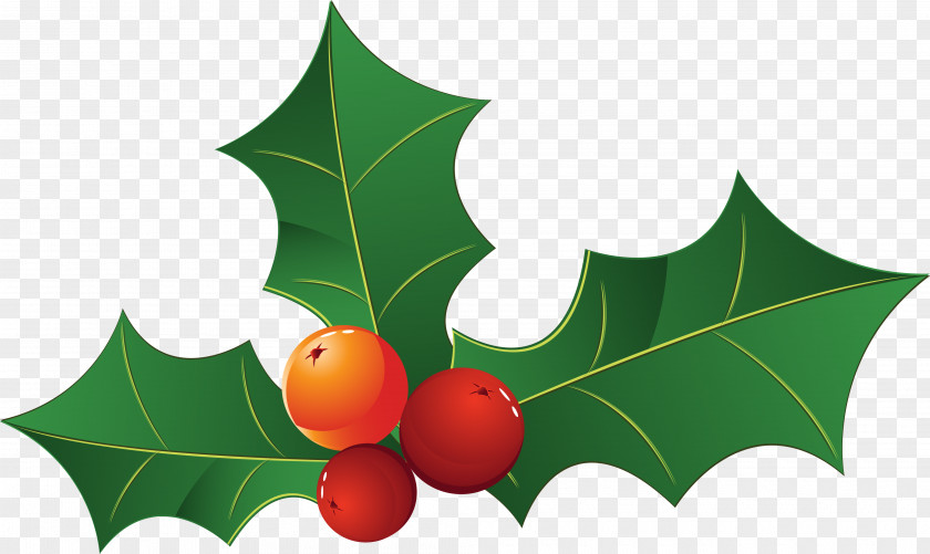 Green Leaves Christmas Decoration Tree Leaf PNG