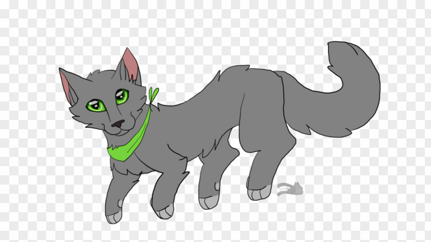 Kitten Whiskers Cat Canidae Dog PNG