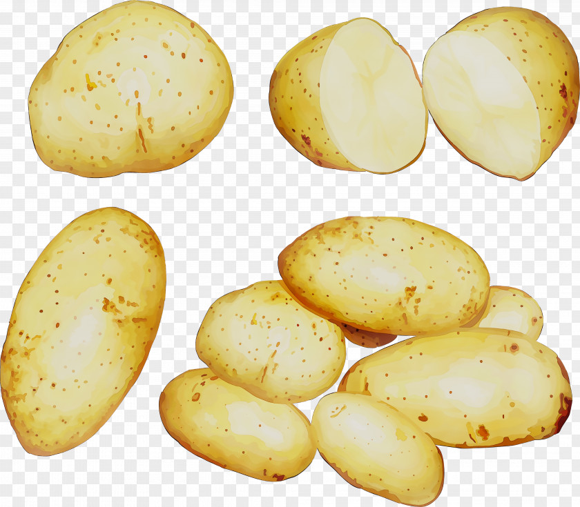 Russet Burbank Potato Yukon Gold PNG