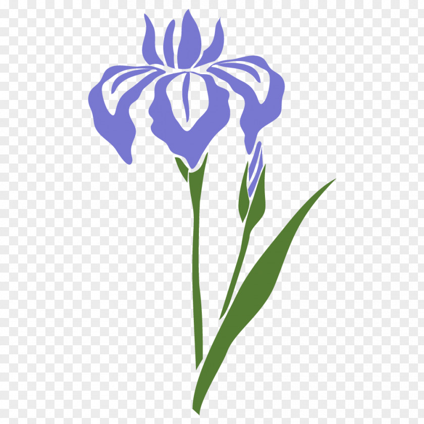 Atsuhiko Nakata Sweet Flag Iris Sanguinea Ensata Var. 洗百病 PNG