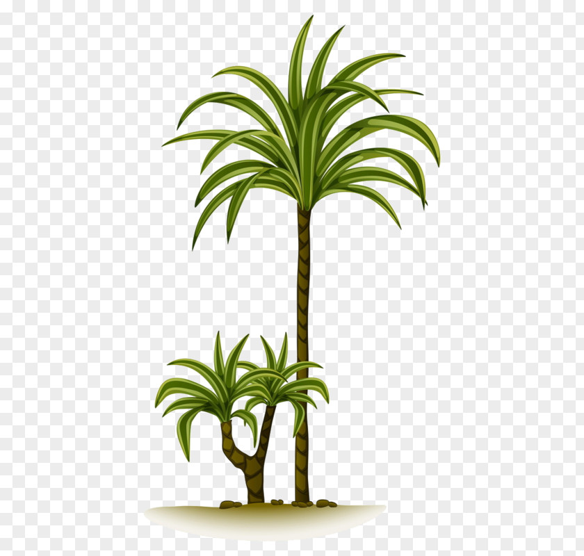 Clip Art Vector Graphics Palm Trees Gallery Of Illustration PNG