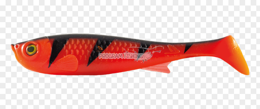 Fishing Baits & Lures Plastic PNG