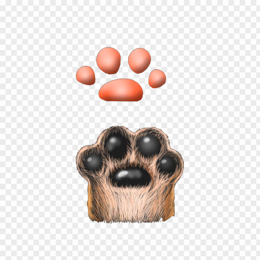 Furry Cat Claws Claw Dog Computer File PNG