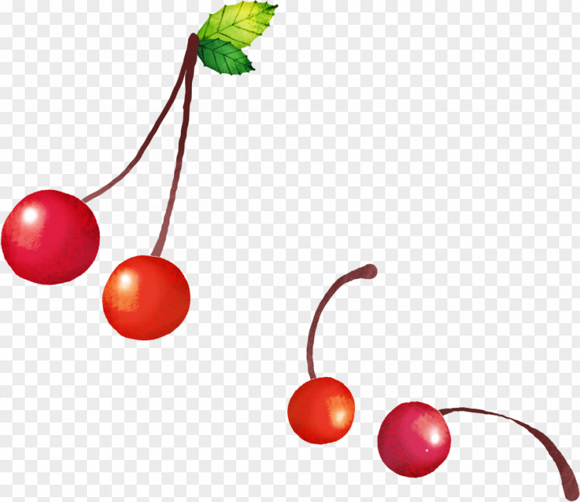 Hand-painted Cherry Fruit PNG