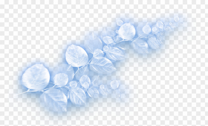 Petals Desktop Wallpaper Water Close-up Microsoft Azure Computer PNG