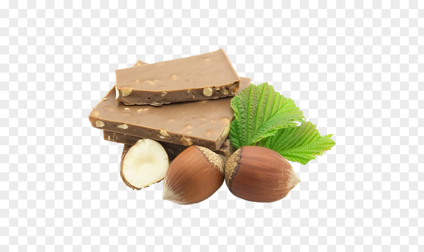 Chocolate Praline Nadalini Flor S.a.s. Stock Photography Geraniums PNG