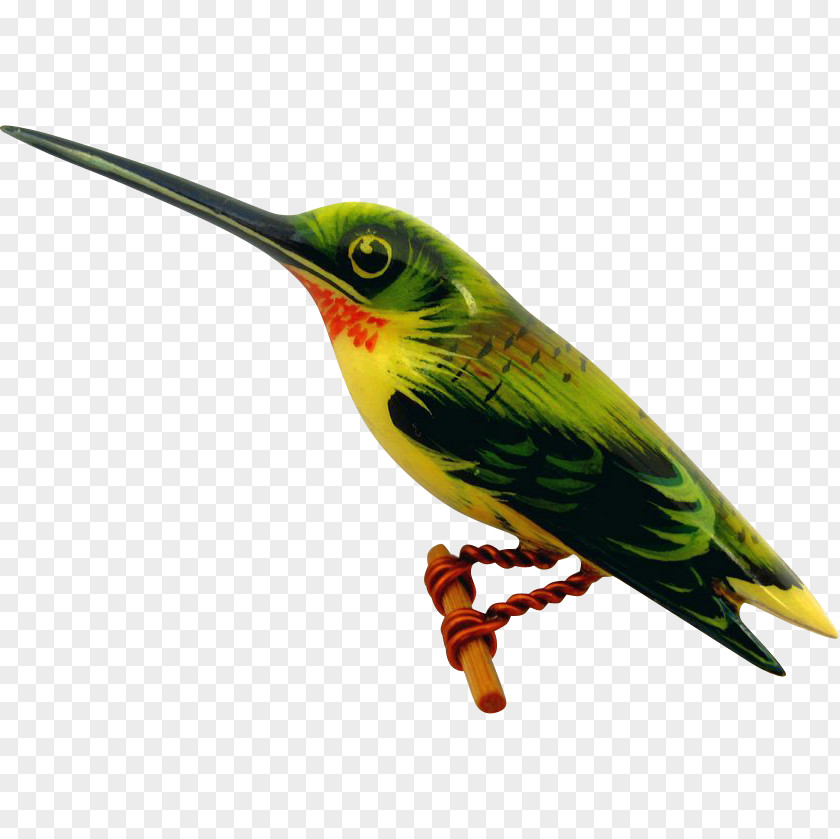 Hummingbird Illustrations Ruby-throated Clip Art PNG