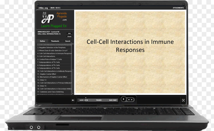 Mycology Immunology Antigen Lecture Immunity Cytokine PNG