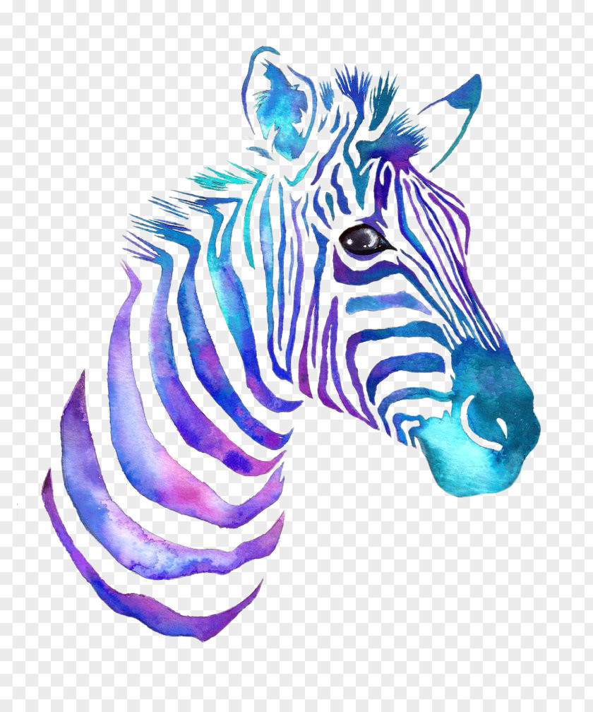 Painted Zebra Pattern Free Pull Material Watercolor Painting DeviantArt PNG