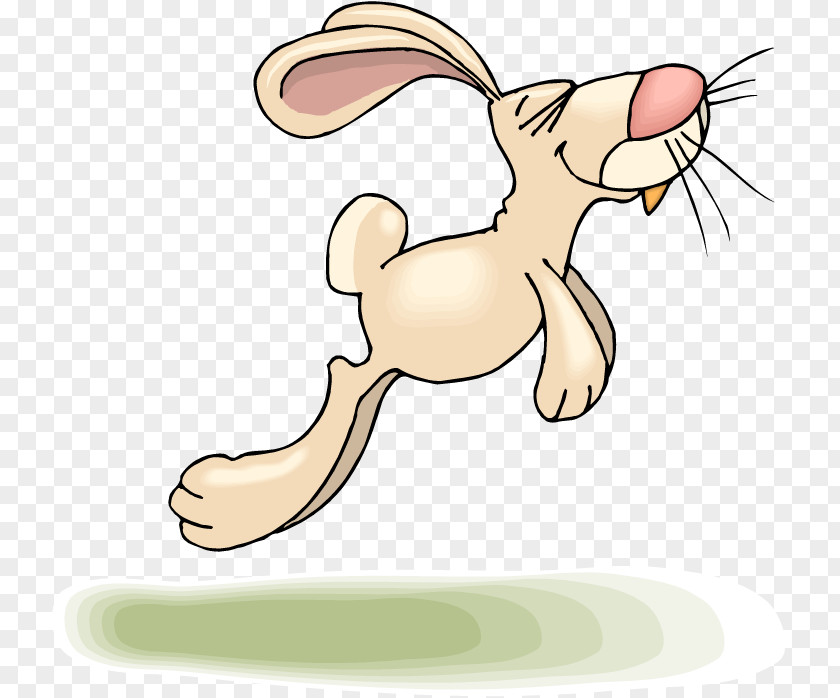 Rabit Easter Bunny Hare Rabbit Show Jumping Clip Art PNG