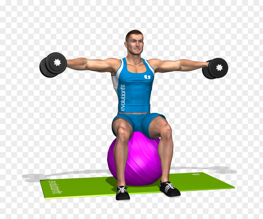 Shoulders Dumbbell Exercises Weight Training Shoulder Exercise Balls Deltoid Muscle BodyPump PNG