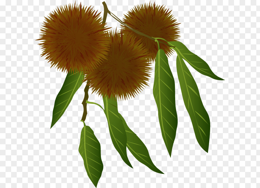 Autumn Poster Castanea Crenata Season PNG