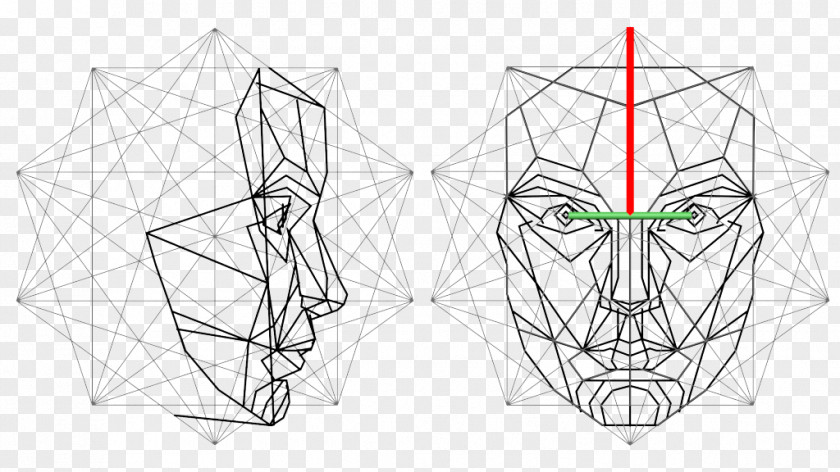 Golden Ratio Human Face Head Mask PNG