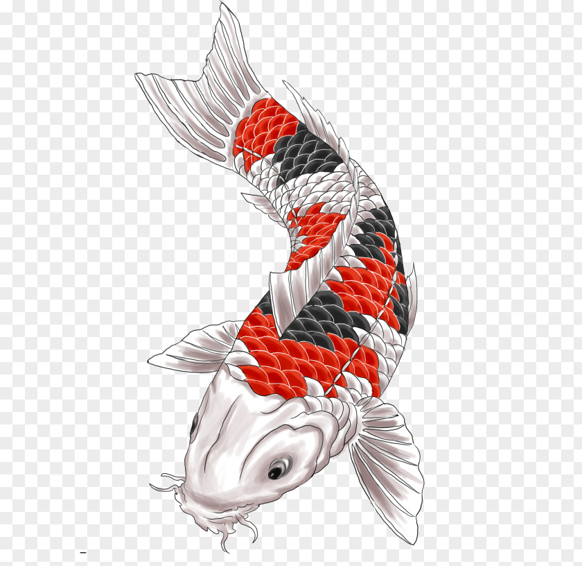 Koi Tattoo Fishing Bait Catla Carp PNG