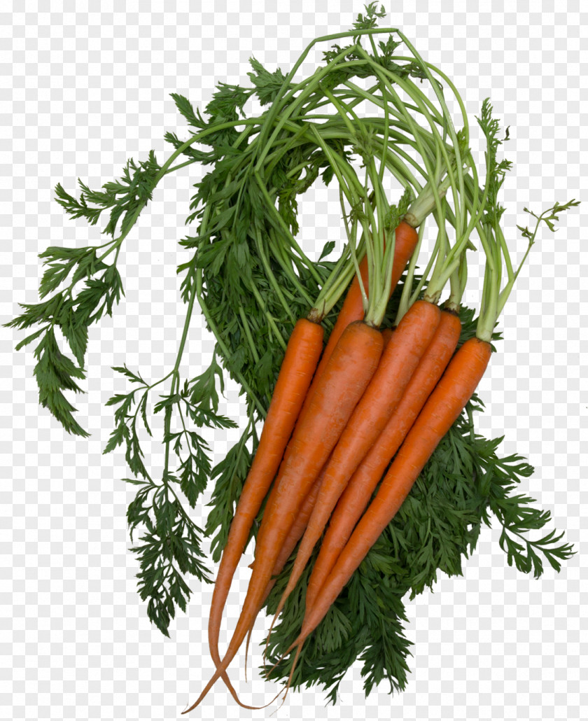 Orange Carrot Juice Baby Food Beetroot Vitamin PNG