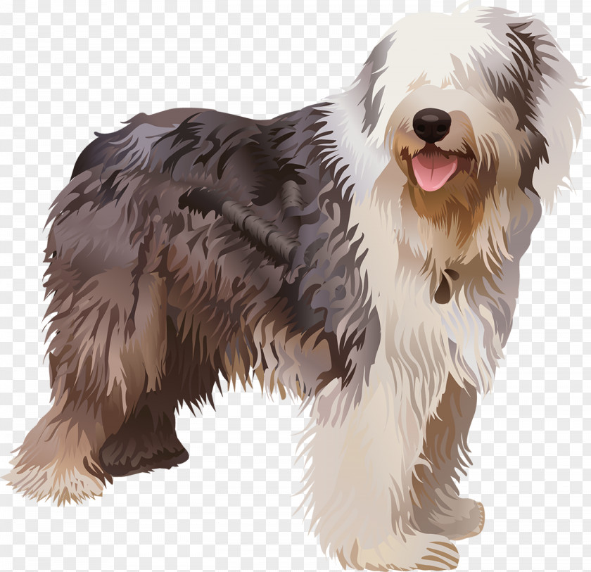 Working Dog Catalan Sheepdog Cartoon PNG