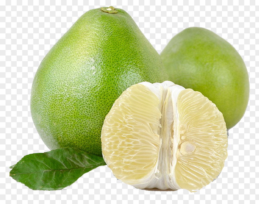 Fresh Grapefruit With Leaves Persian Lime Pomelo Key Citron PNG
