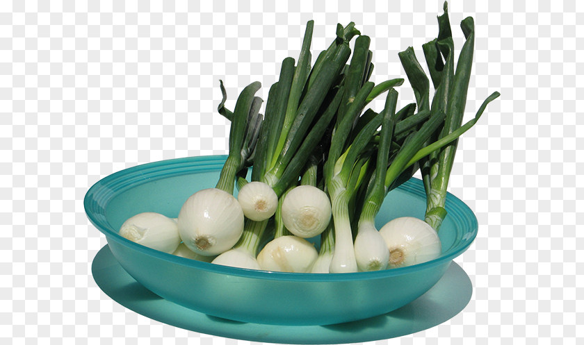 Onion Scallion Leaf Vegetable Garlic PNG