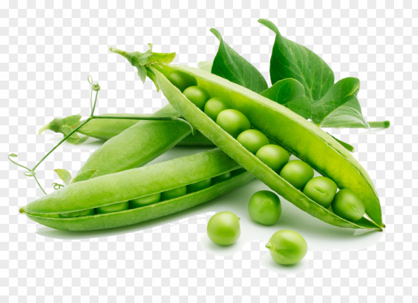 Pea Snow Vegetable Freezing Food Bean PNG