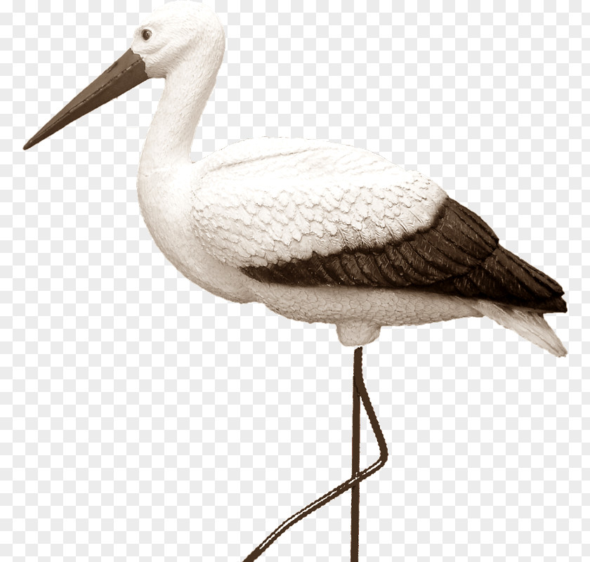 Starwars White Stork Bird Artikel Price PNG