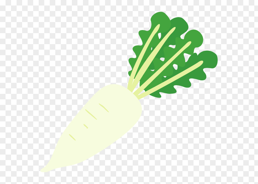Vegetable Graphics Product Design Leaf Line PNG