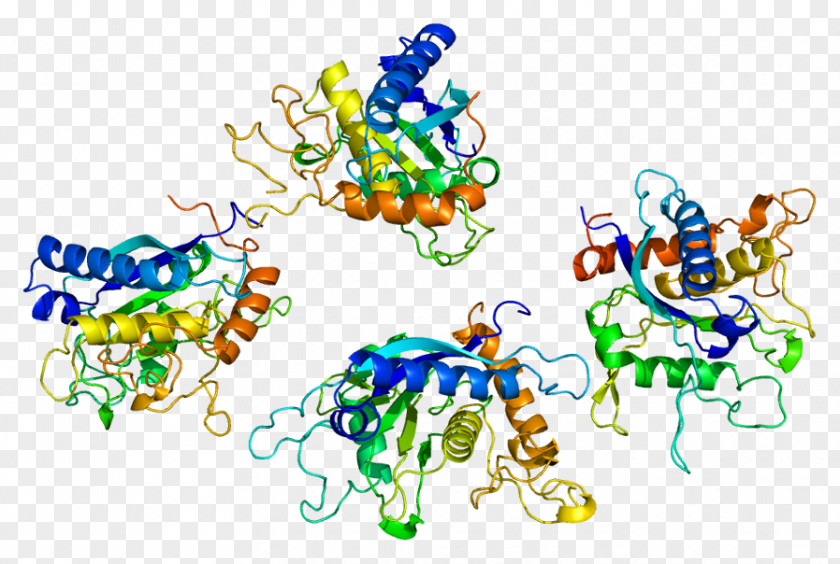 ADAM17 Ectodomain Tumor Necrosis Factor Alpha Enzyme PNG