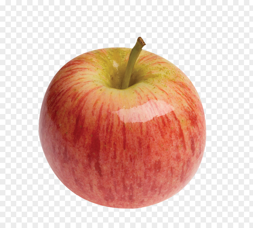 Apple Gala Fruit Granny Smith PNG