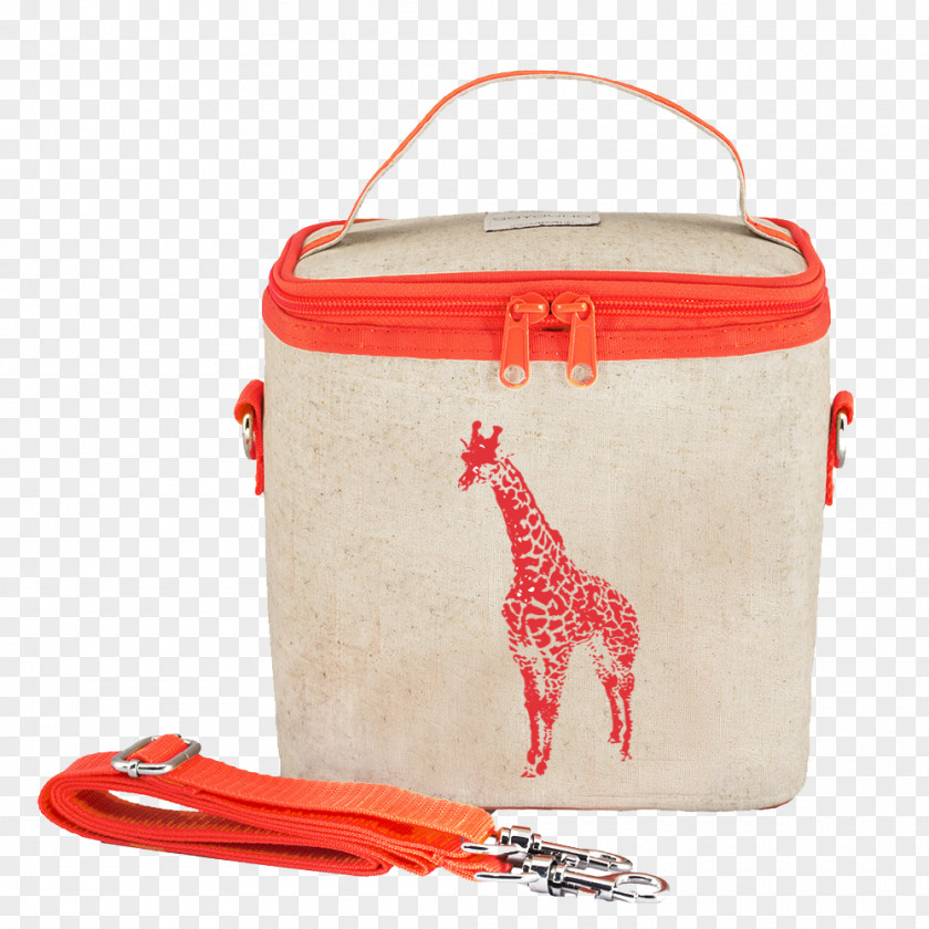 Bag Thermal Lunchbox Cooler PNG