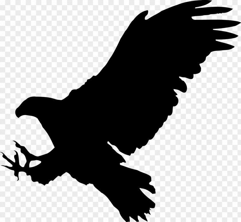 Bird Bald Eagle Silhouette Clip Art PNG
