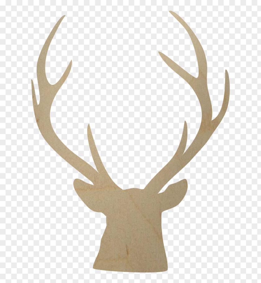 Deer White-tailed Elk Moose Reindeer PNG