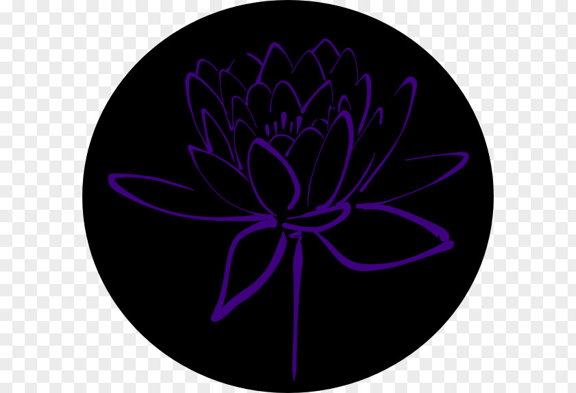 Lotus Background Flowering Plant PNG