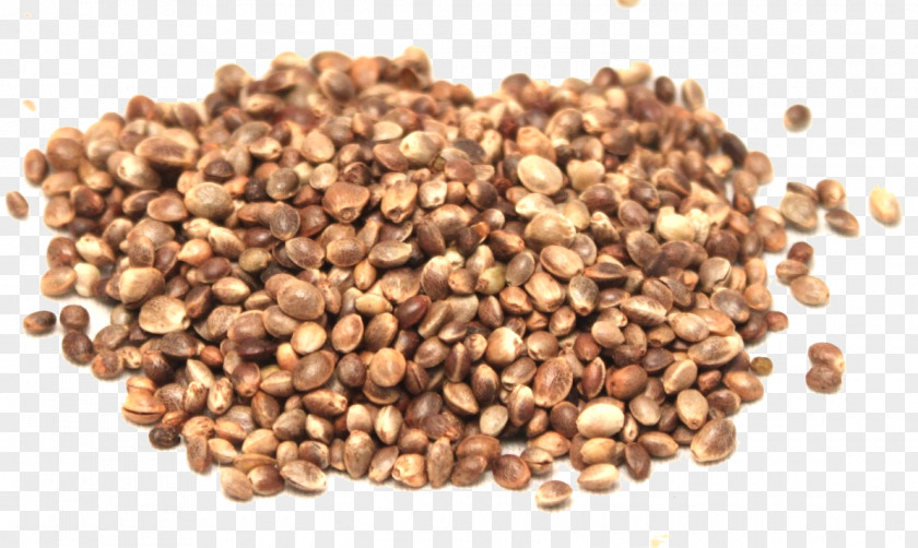 Oil Seed Hemp PNG