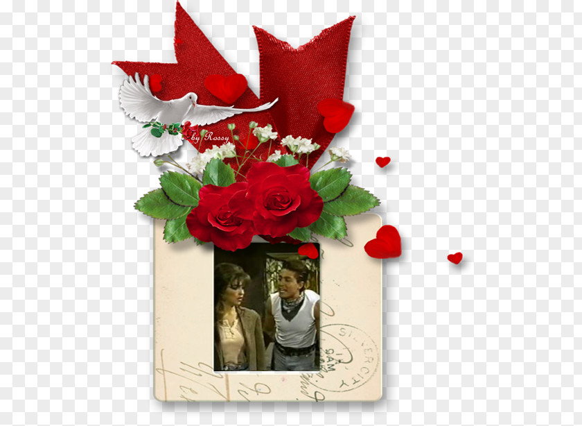 Garden Roses Christmas Day Flower Bouquet Greeting & Note Cards PNG
