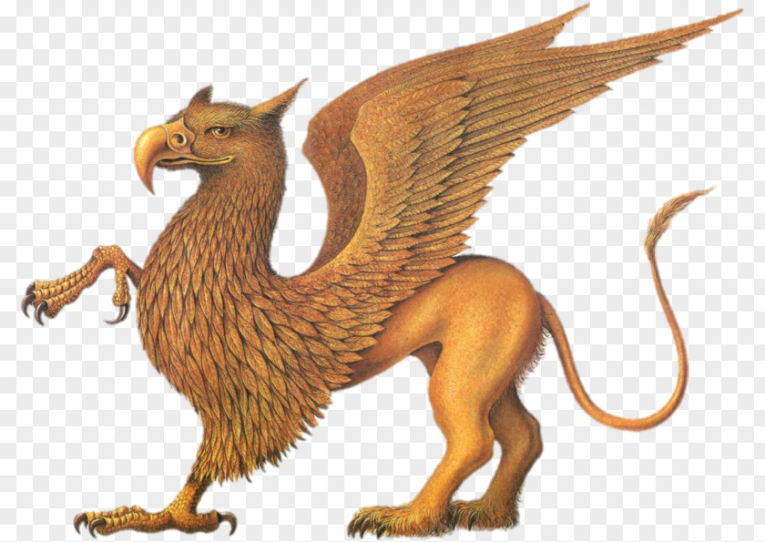 Griffin Legendary Creature Mythology Cockatrice Phoenix PNG