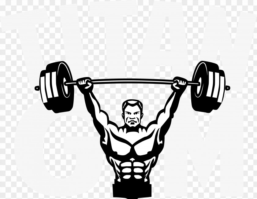 Gymnastics Barbell Weight Training Bodybuilding Olympic Weightlifting Power Rack PNG