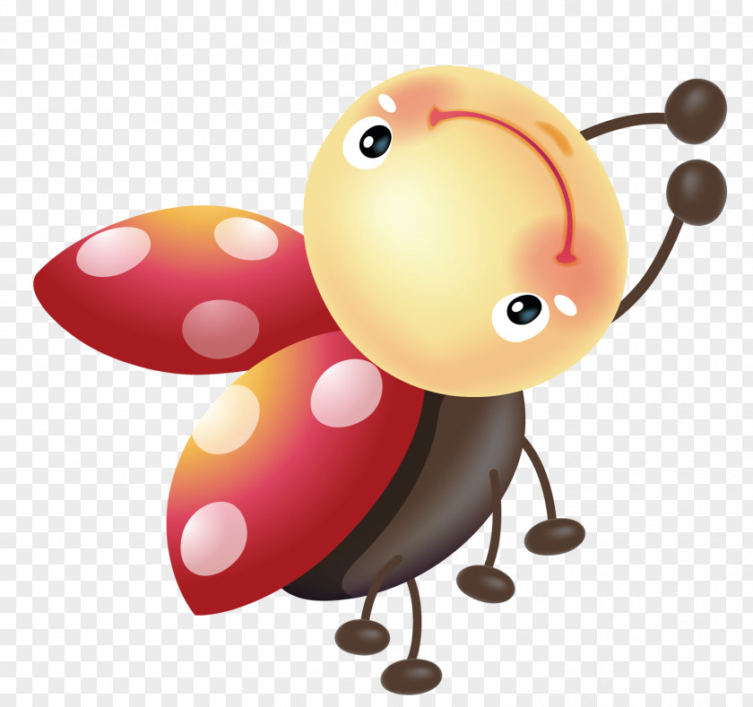 Ladybug Ladybird Insect Animal Clip Art PNG